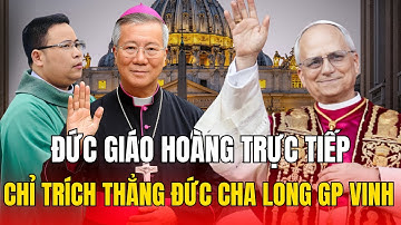 Đức Giáo Hoàng “Lên Tiếng Chỉ Trích” — Đức Cha Long Đã Thực Sự Làm Gì Cha Nam Giáo Phận Vinh?