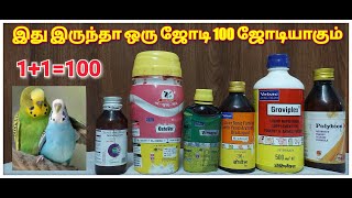 love birds பறவைகளின் supliment | Best supliments for Birds | Breeding tips in tamil | Real Feathers