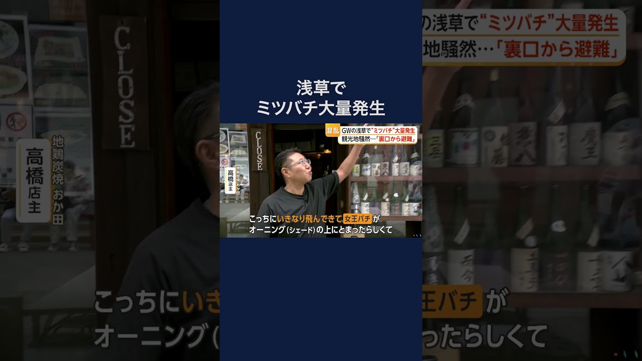 みつばち A massive swarm of honeybees appears in Asakusa, causing a stir in