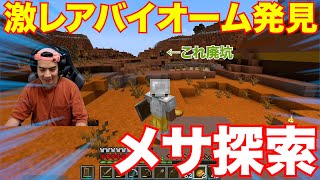 【マイクラ#3】メサの地下から金が大量に出るってウワサを聞いて突撃してみた！