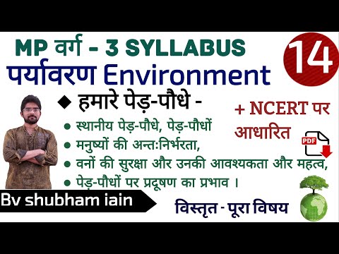 वीडियो: पौधे मनुष्य के लिए किस प्रकार लाभदायक हैं?