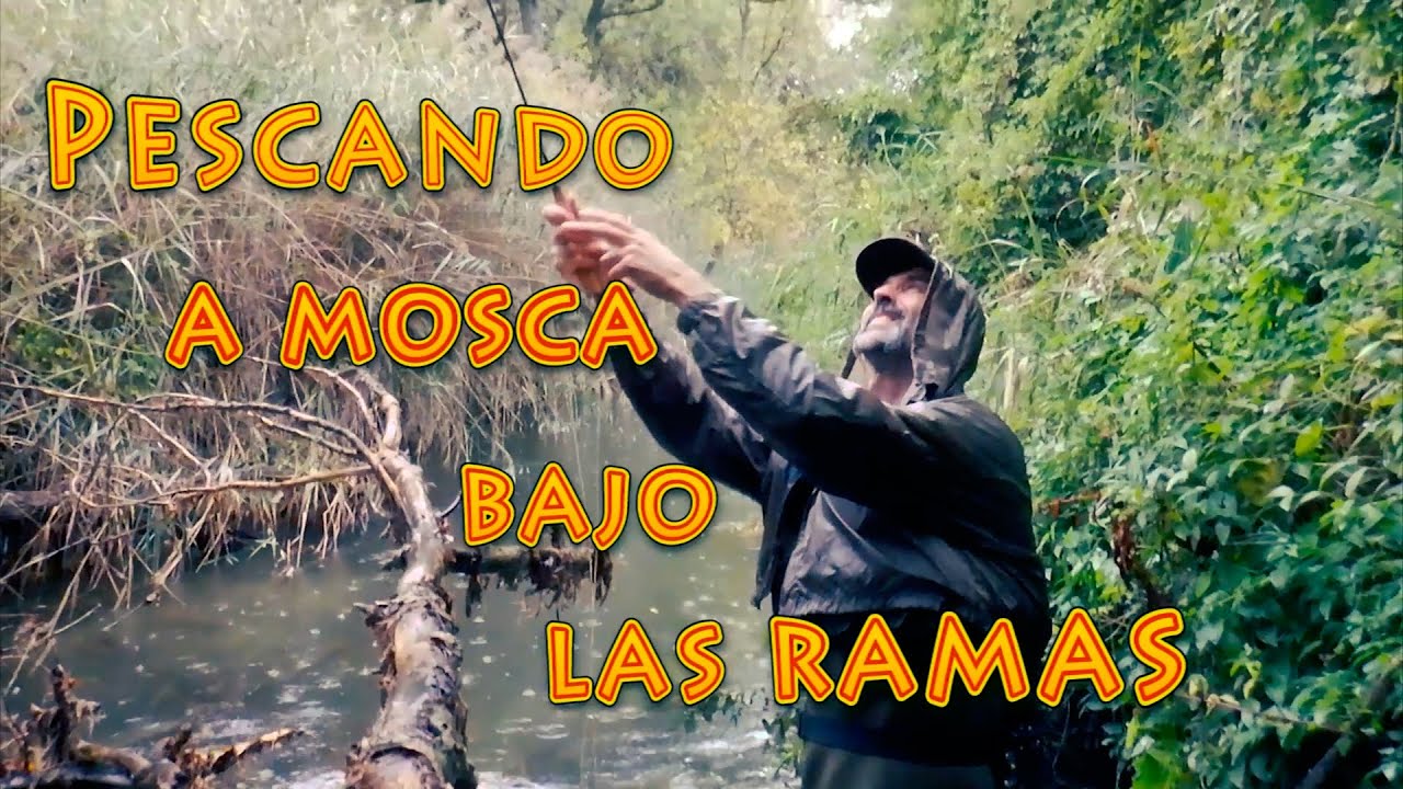 Pesca a Mosca Bajo las Ramas | Técnicas de Pesca  de Truchas a Mosca Seca en Ríos y Arroyos