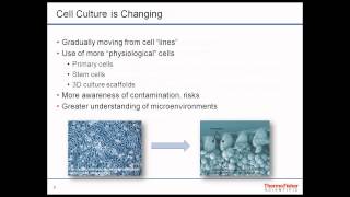 Innovations in CO2 Incubators: Is it Time to Upgrade?