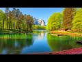 Relaxing Music for Stress Relief🍀Treats Diseases of the Heart and Blood Vessels