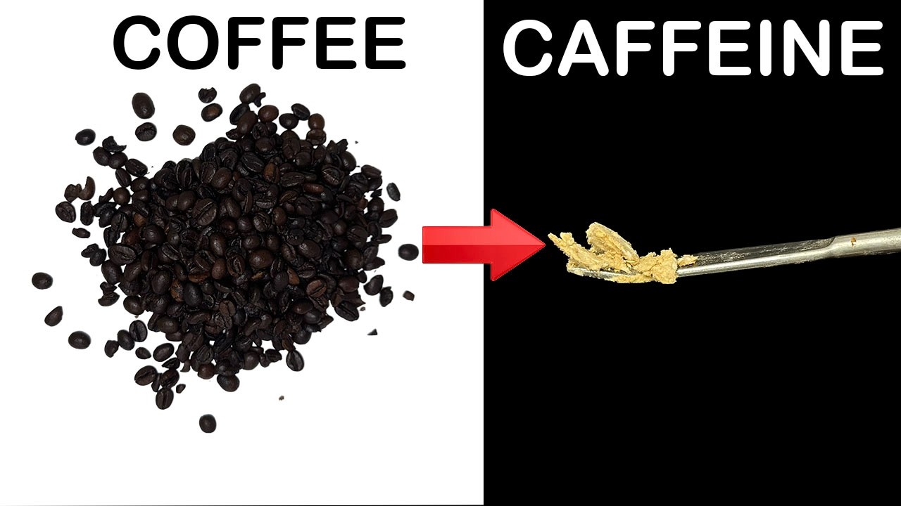 Сколько кофеина на самом деле содержится в кофе? | Экстракция кофеина