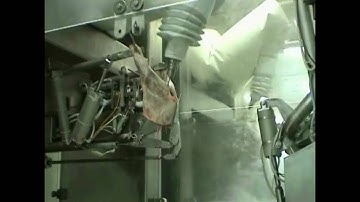 Smallstock Automated Hindquarter Boning - Scott Technology Limited (Lamb and Beef)
