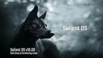 Salient OS - Disk Partitioning Setup Guide