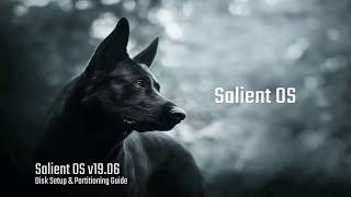Salient OS - Disk Partitioning Setup Guide