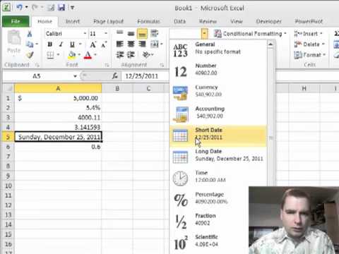 Excel Video 217 Number and Date Formatting
