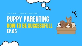 Puppy Parenting - How to Be Successful | Episode 85 by BAXTER & Bella The Online Puppy School! 490 views 6 months ago 13 minutes, 43 seconds