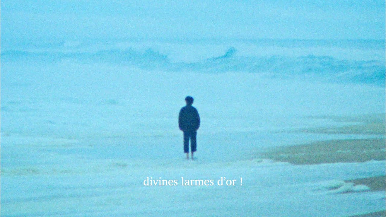 Le pin des Landes de Théophile Gautier shot by me on Kodak 16mm film Krasnogorsk iii