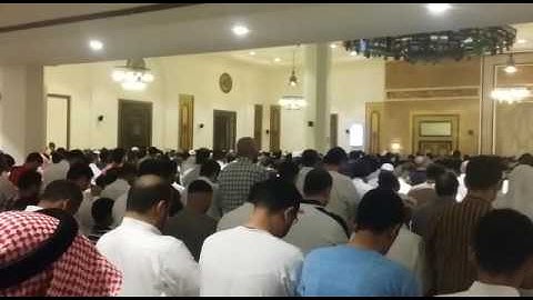 الشيخ القارئ / سعيد الخطيب