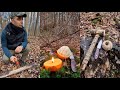 The best life hacks for camping and bushcraft  marusyaoutdoors