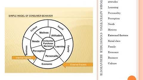WHAT IS CONSUMER BEHAVIOR?