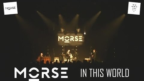 MORSE - In This World (Live) (Original Song by The Ditch)