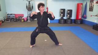 Beginner Curriculum : Back Stance