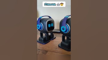 Emo robots twins vs strangers #emo #emopet #emorobot #airobot #petbot #petrobot