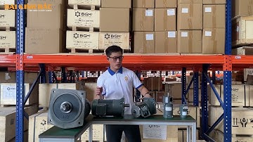 Động Cơ Giảm Tốc Mặt Bích Wanshsin Và Những Tính Năng | Đại Kinh Bắc