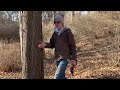 How to tap a maple tree/ part 1 how to make maple syrup