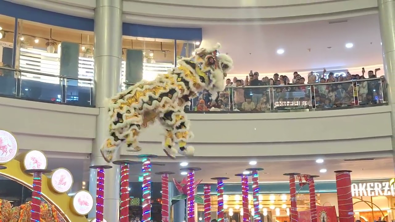 Kwongai indonesia show tonggak!!!!! margo city depok😍😍😍