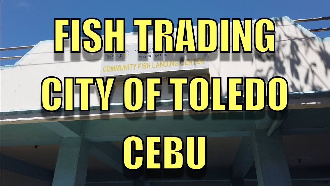 Fish Trading, City Of Toledo, Cebu.