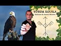 ÁGUILA TÓTEM 🦅 Animal ESPIRITUAL ÁGUILA significado 🗿 ÁGUILA ANIMAL DE PODER y AMULETO 🧙🌎