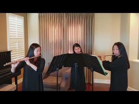 Trio Brillant in