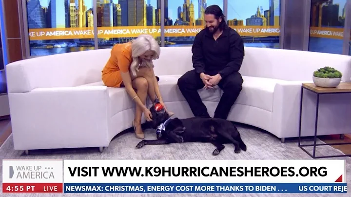 K9 Hurricane on Newsmax TV | Wake Up America