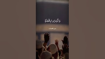 إن الذين قالوا ربنا الله ثم استقاموا | سورة فصلت | القارىء علي جابر
