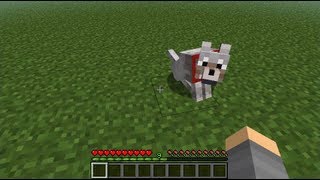 Ultimate Wolf Tease