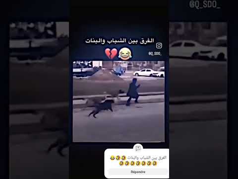 الفرق بين الشباب والبنات في خوفهم من الكلاب