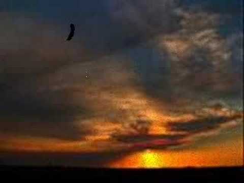 Lemond Pascal - The Shelter