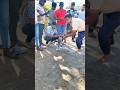 Dog race kolhapur || kolhapur dog racing|| dog racing maharastra|| #shortsvideo #youtubeshorts