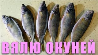 How to Dry Fish (Perch)