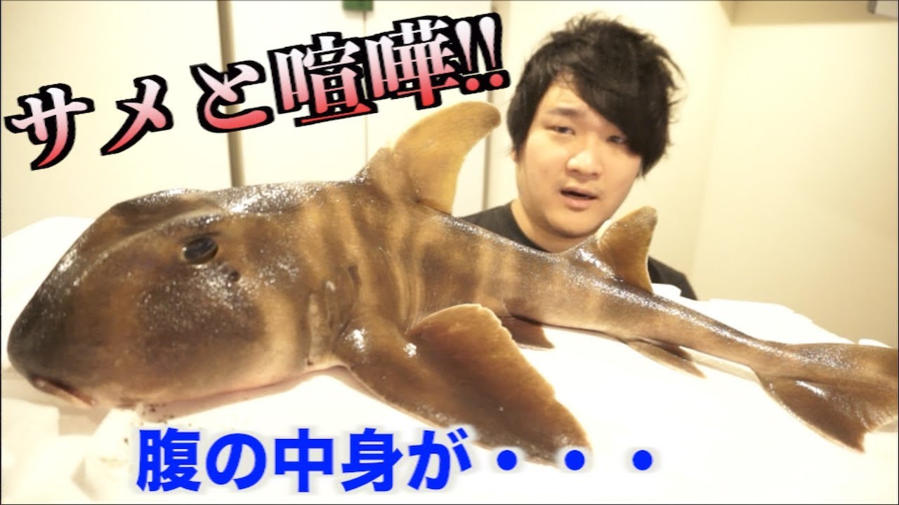 さめ様 maxresdefault.jpg