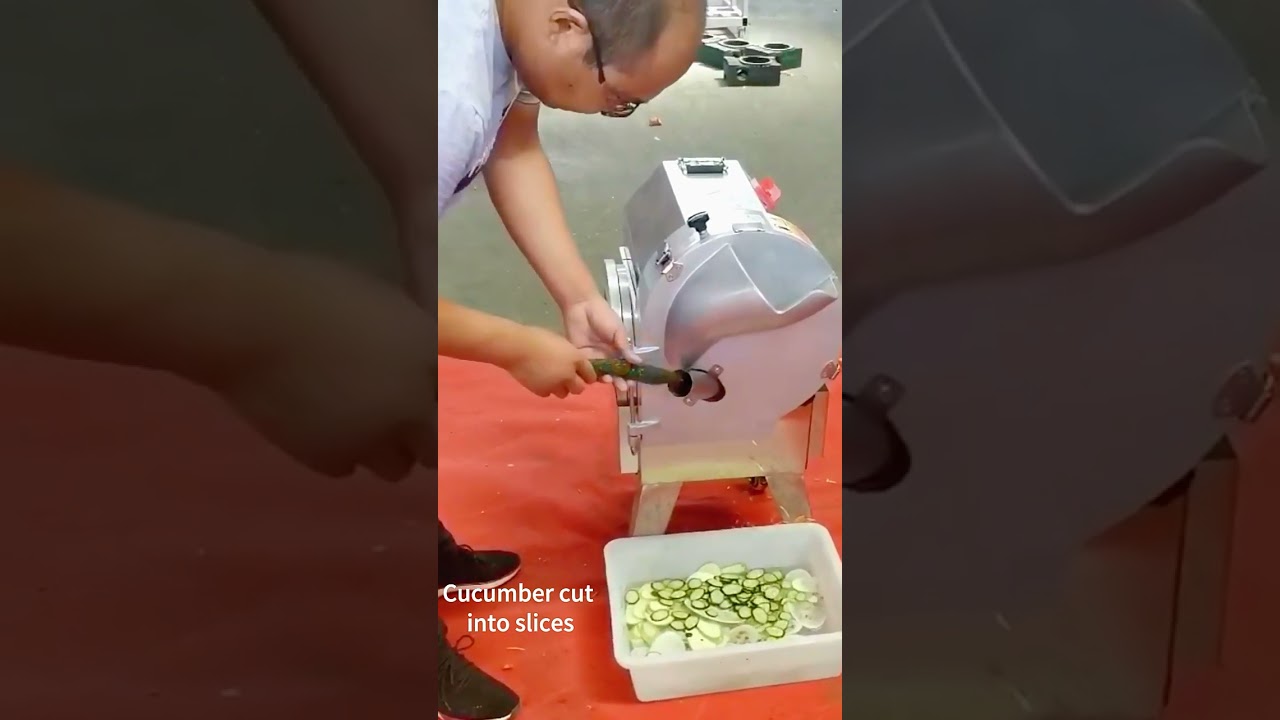 Root Vegetable Cutting Machine
