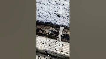 Gutter Cleaning Cold Weather