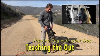 Tug Toy Training Part 3 - Outing the Toy - play with your dog