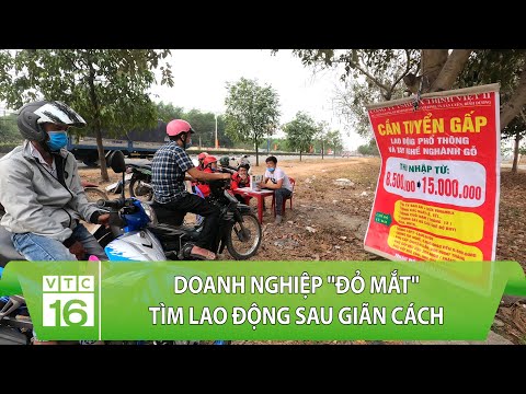 Video: Làm Thế Nào để Phát Triển Một Khu Vực