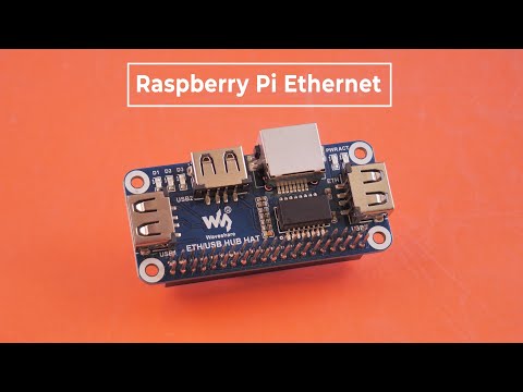 Video: Raspberry Krasa Russia: түрүнүн сүрөттөлүшү жана мүнөздөмөлөрү, артыкчылыктары жана кемчиликтери, отургузуу жана багуу өзгөчөлүктөрү + сүрөттөр жана сын-пикирлер