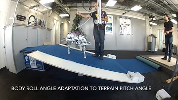 Dynamic Trotting on Slopes for Quadrupedal Robots