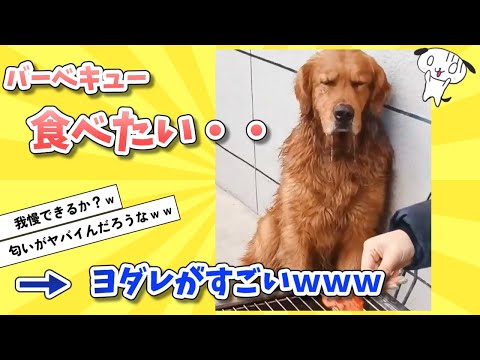 【2ch動物スレ】犬の横でバーベキューした結果ｗｗｗ