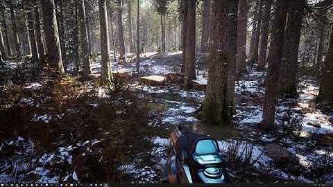 MAWI Conifer Forest Biome | Winter Snow Accumulation