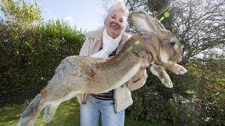 Real Life EASTER BUNNY Caught On Camera