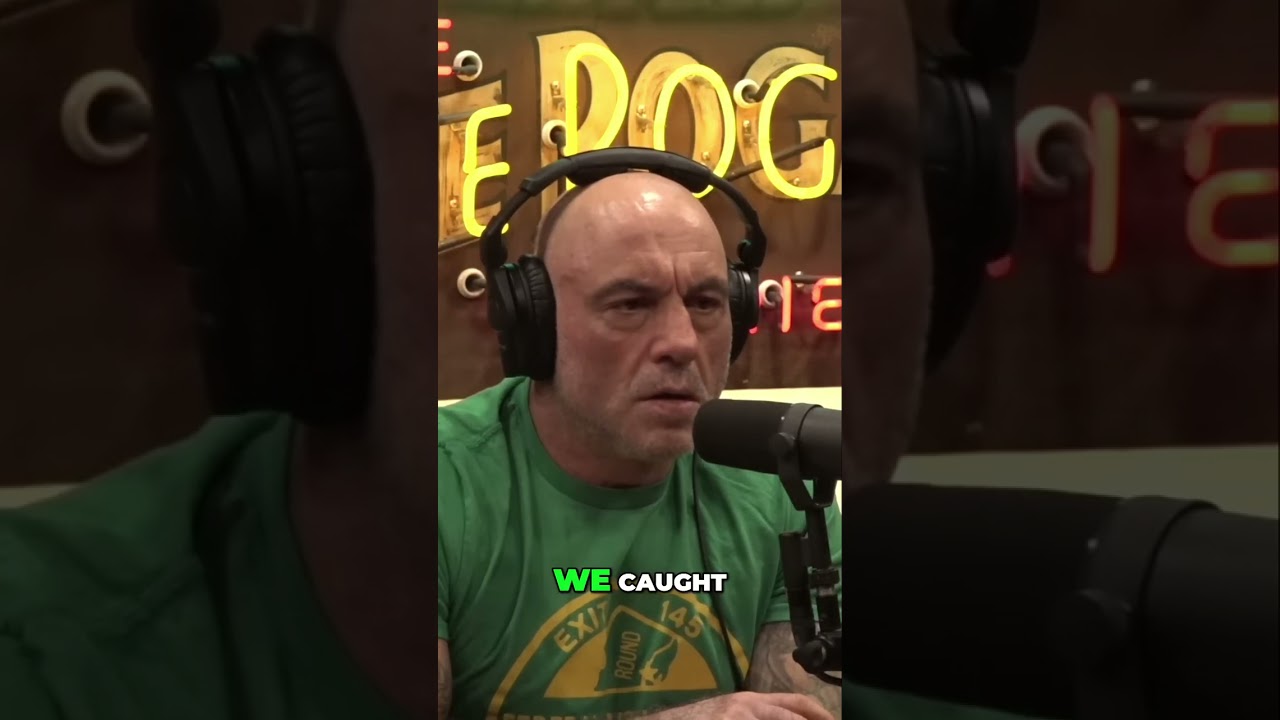 Agro-Terrorism: CCP's Hidden Attack on US Agriculture