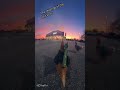 THE REVENGE OF THE CHICKENS #memes #shorts #funny