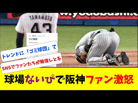 ヤクルトDJ「ナイスピッチング山本！」 → 阪神ファン激怒【なんJ反応】