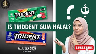Is Trident Gum Halal? | Halal Status of Trident Chewing Gum Explained 🧴 | Halal Food Guide
