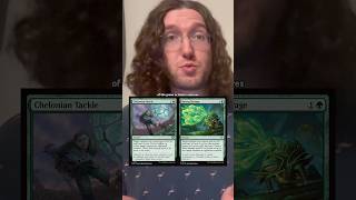 Famous I Like Big Assonances, and I Cannot Lie | Strixhaven #mtg #casual #strixhaven #newplayer #learning Net Worth