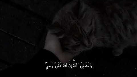 (واستغفروا الله ان الله غفور رحيم)القارئ شريف مصطفى